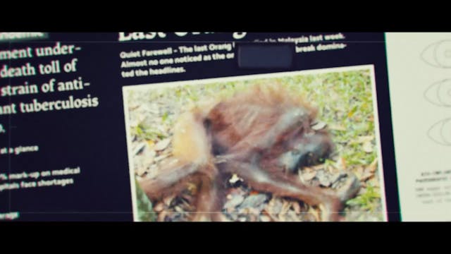 festival dei popoli 2022 - everything-will-change-raw-prores-hd-4-2-2_