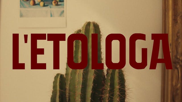 TERRE DA FILM FESTIVAL 2022 - l'etologa_regia_di_martina_selva (1080p) 