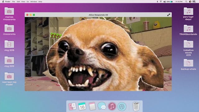 TAGLIO LUNGO - Michele Pipia - Alice Junior