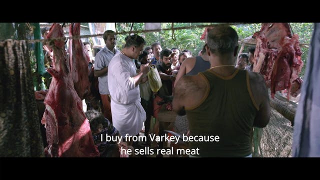 SARDEGNA - Jallikattu