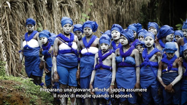 16 CORTO - LA SCUOLA NELLA FORESTA ITA