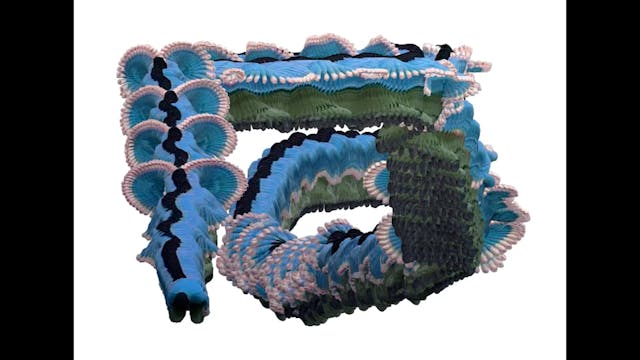 Lo schermo dell'arte - Focus on Oliver Laric_Aircondition