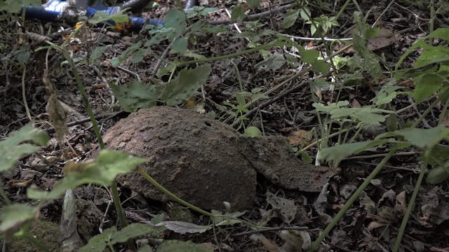 TOWN OF GLORY_(UEZDNYJ GOROD E)_DEF