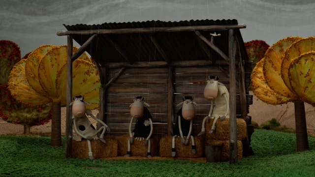 SHORTS 2022 - K_09_COCHON_ProRes422HQ_VF