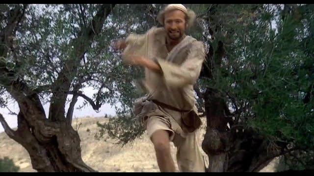 TSFF - A2_LOVE IS JUST A DEATH AWAY