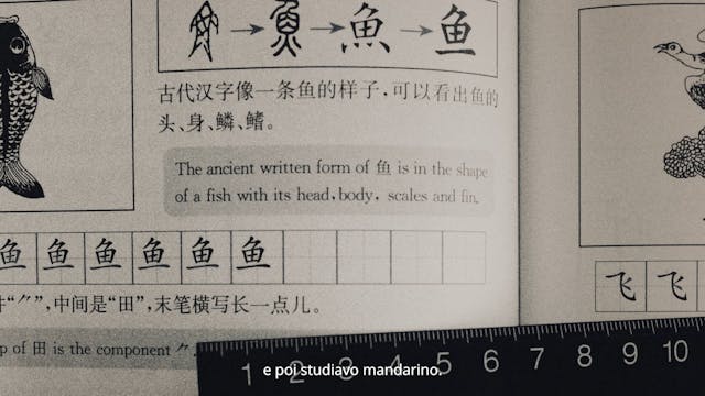 PESARO - The Nightwalk (Sub Ita)