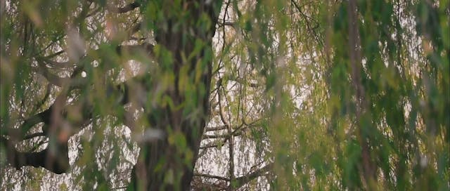 RIFF - ON SILENT _SubIta