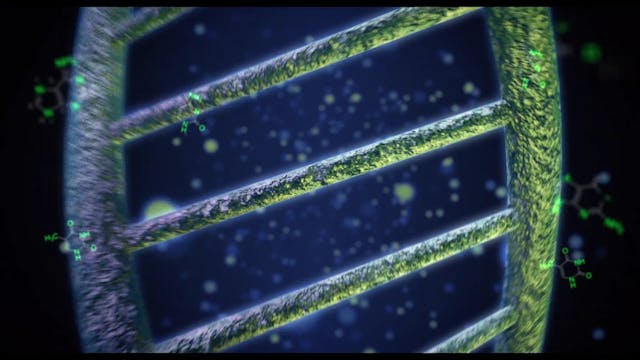 margutta digital - EST_24p_HD_ITA_MPEG4