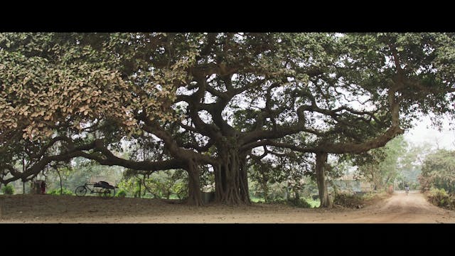 RIVER - without strings_FTR_1080p24_DEF