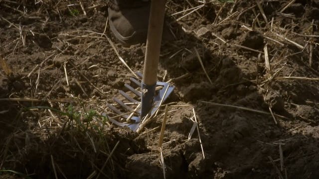 LACENO - PONTICELLI_TERRA_BUONA