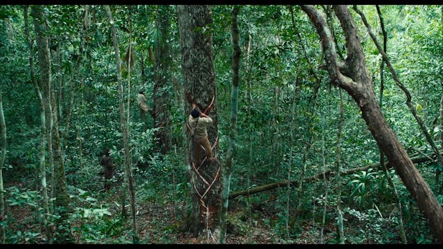 VENEZIA 2020 - Selva Tragica