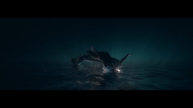 MOLISE CINEMA - La terra delle onde