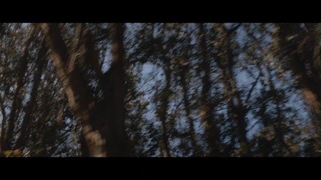 cortinametraggio - Tiny Distribution - finis terrae sub ita impressi