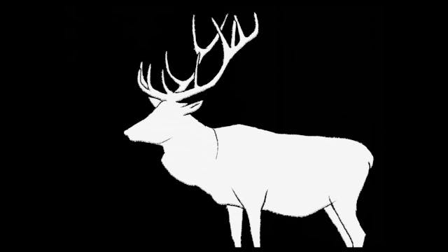 VENEZIA 78 GdA - PRINCESA_STEREO_NO_SUB_BIENNALE_CHANNEL