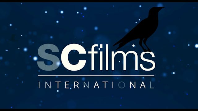 CARTOONS OTB - BEST BIRTHDAY EVER - VIDEO