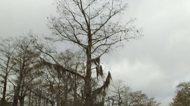 WANTED - I Am the Blues HD ITA