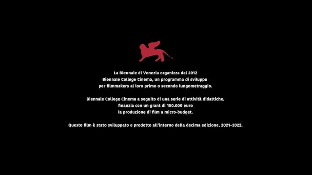 sala web 79 - Come le tartarughe 