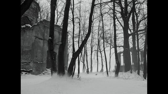 cinema del pensiero - COLD_WAR_ita