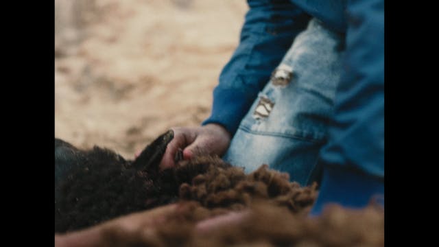 MIDDLE EAST NOW - Brotherhood_AR-EN_HD-133_Stereo-Lo-Ro_H264-50mbit_20181219