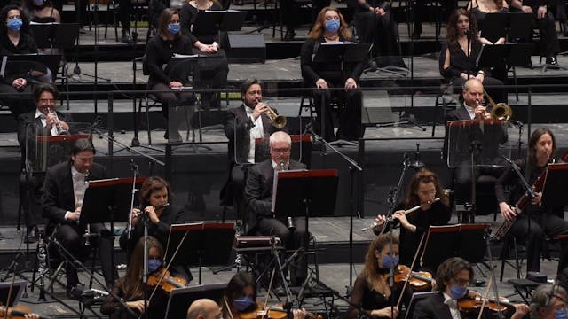 Il Pirata - Compresso