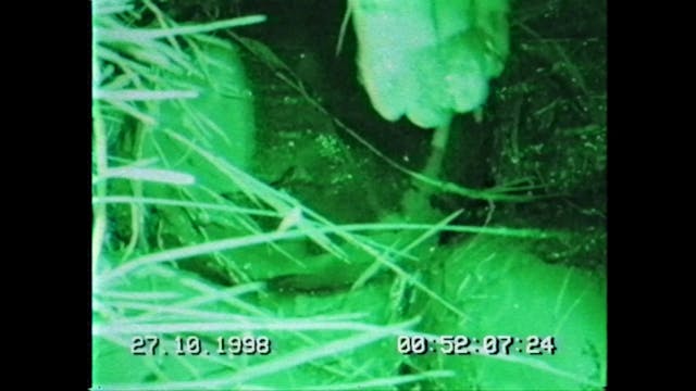 TRIESTE - SPAZIO CORTO - Cracolice