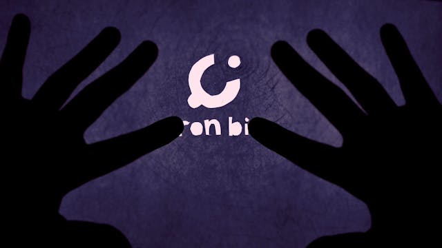 SHORTS 2021 - LUPIN_