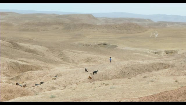 SCHERMO DELL'ARTE - SANDLINES