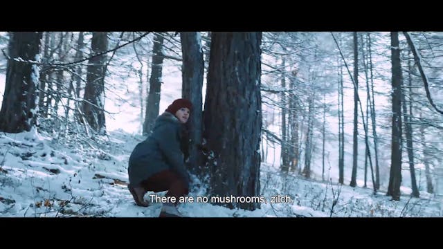 Bentornato Presidente