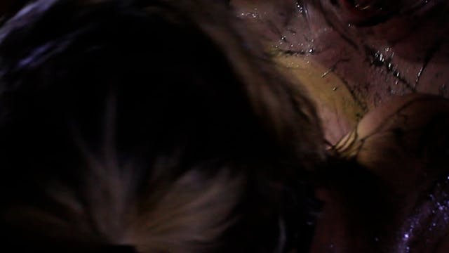 Lo schermo dell'arte - The Pornographer - BF_ita_NO SUB