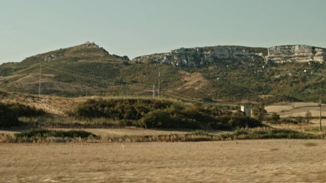 sguardi d'autore sulla sardegna - dalla quercia alla palma