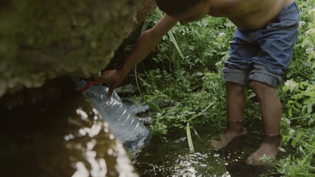 TSFF - ACASA, MY HOME_DEF