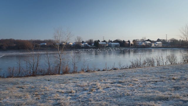 BIOGRAFILM THIS TRAIN I RIDE