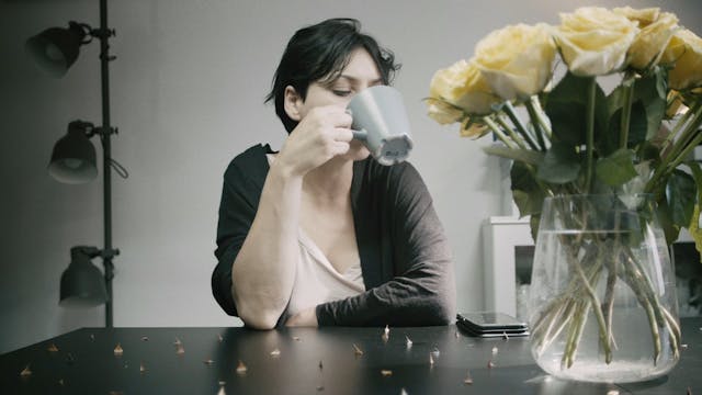 SCHERMO DELL'ARTE - DOMESTICATION