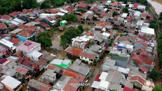 CINEMA AMBIENTE - GENERATION GRETA