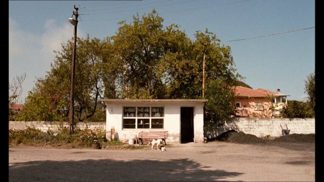 MIOCINEMA - Ai Confini Del Paradiso - ita