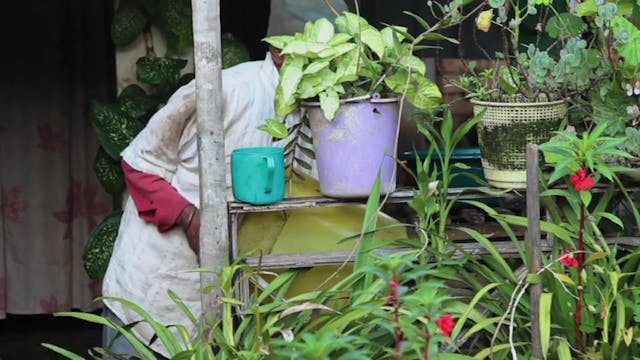 IMMAGINI DAL SUD - It's my road On.mp4-