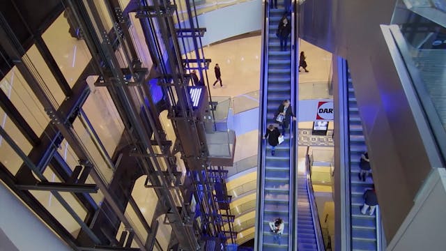 FUORINORMA - _Il sorriso del gatto