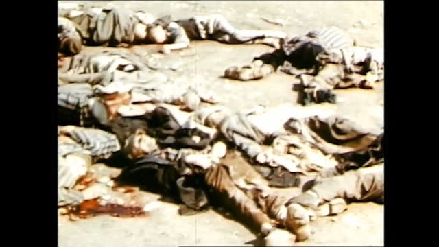 MIOCINEMA - AUSCHWITZ 2006