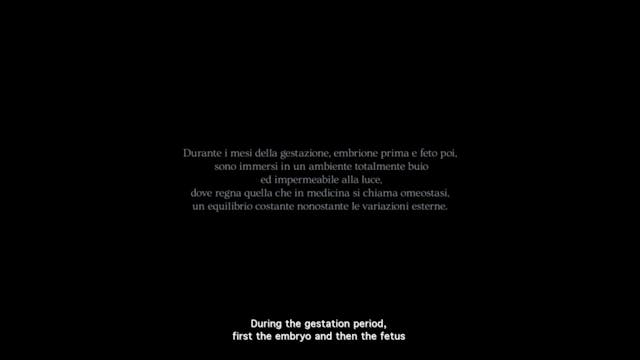 RIFF - OMEOSTASI_SUB ENG_low