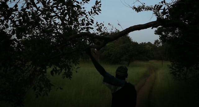 Lara Casirati - FESCAAAL_Talking Dreams CORRETTO