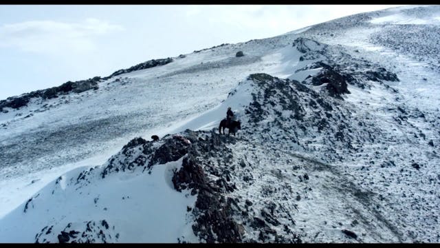 LA PRINCIPESSA E L'AQUILA - VO