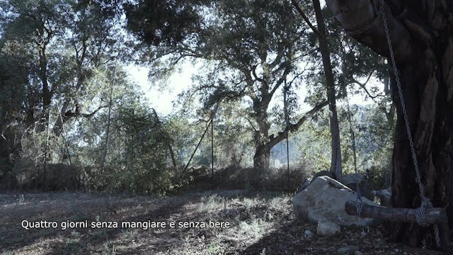 Lara Casirati - FESCAAAL_En route