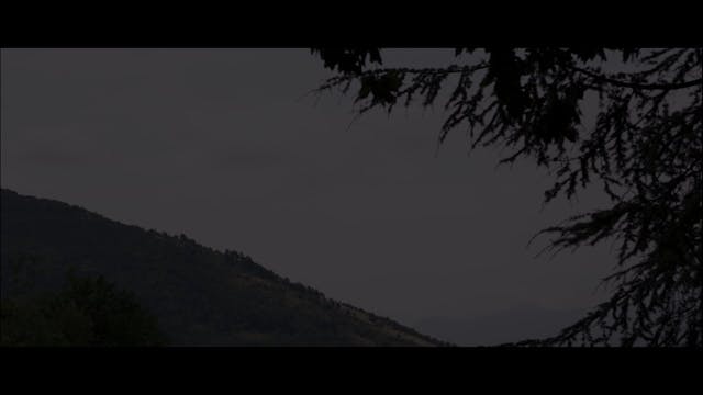 shorts - quarantine_def