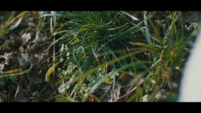 22_01 A.Tavola.con.TSFF_Klugmann