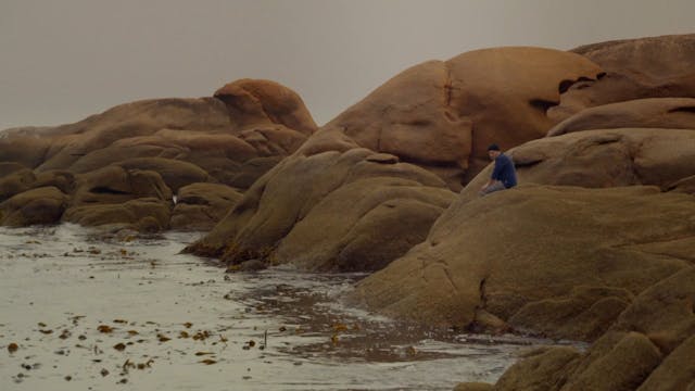 LACENO - RED MOONLua Vermella