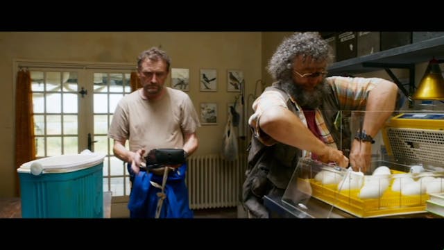 MIOCINEMA - Sulle Ali dell Avventura - ITA