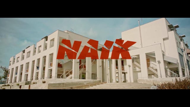 TRIESTE SCIENCE - NAIK_def