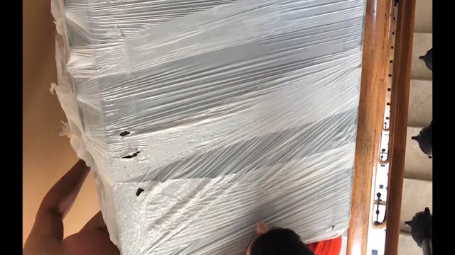 CAMPUS - Play-Me-Im-Yours MASTER PMIY EN