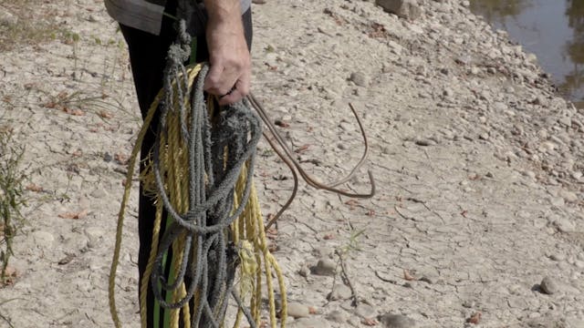 ISCHIA GLOBAL - NO BODY 24fps h264 