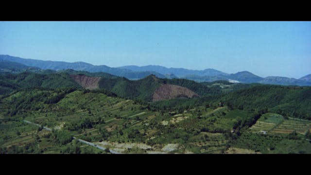 NOIR - NON SI SEVIZIA UN PAPERINO [ED. 2]